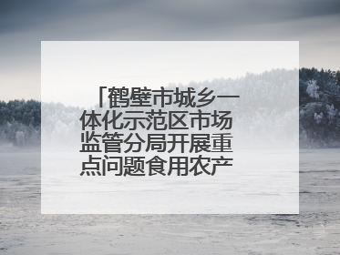 鹤壁市城乡一体化示范区市场监管分局开展重点问题食用农产品专项整治