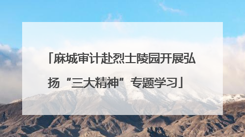 麻城审计赴烈士陵园开展弘扬“三大精神”专题学习