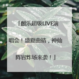 麒乐超级LIVE演唱会！盛夏曲靖，神仙阵容炸场来袭！
