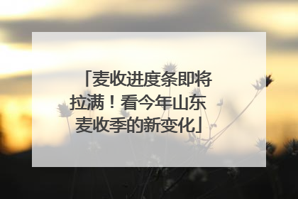 麦收进度条即将拉满！看今年山东麦收季的新变化