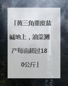 黄三角重度盐碱地上，油菜测产每亩超过180公斤