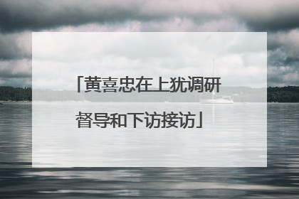 黄喜忠在上犹调研督导和下访接访