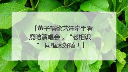 黄子韬徐艺洋牵手看鹿晗演唱会，“老相识” 同框太好嗑！