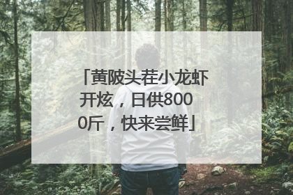 黄陂头茬小龙虾开炫，日供8000斤，快来尝鲜