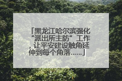 黑龙江哈尔滨强化“派出所主防”工作，让平安建设触角延伸到每个角落……