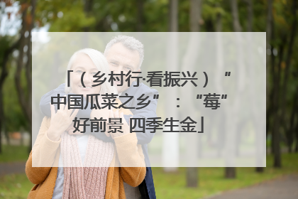 （乡村行·看振兴）“中国瓜菜之乡”：“莓”好前景 四季生金