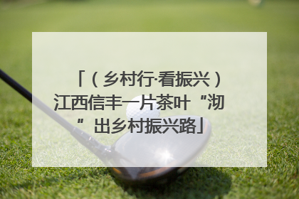 （乡村行·看振兴）江西信丰一片茶叶“沏”出乡村振兴路