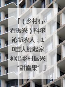 （乡村行·看振兴）科尔沁新农人：10亩大棚起家种出乡村振兴“甜蜜果”