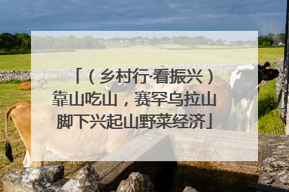 （乡村行·看振兴）靠山吃山，赛罕乌拉山脚下兴起山野菜经济