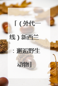 （外代一线）新西兰：邂逅野生动物