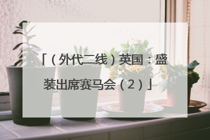 （外代二线）英国：盛装出席赛马会（2）