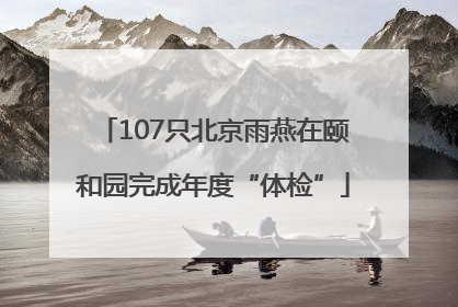 107只北京雨燕在颐和园完成年度“体检”