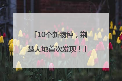 10个新物种，荆楚大地首次发现！