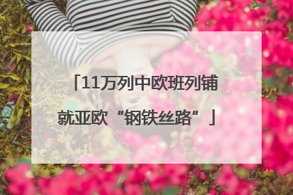 11万列中欧班列铺就亚欧“钢铁丝路”