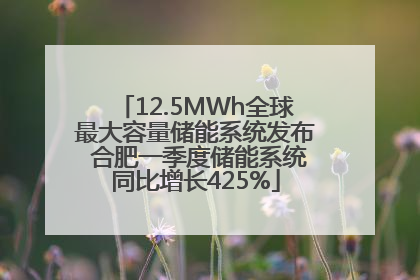 12.5MWh全球最大容量储能系统发布 合肥一季度储能系统同比增长425%
