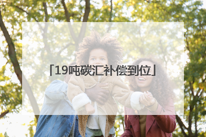 19吨碳汇补偿到位