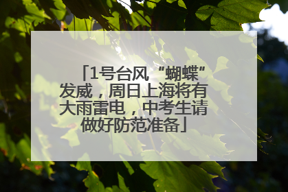 1号台风“蝴蝶”发威，周日上海将有大雨雷电，中考生请做好防范准备
