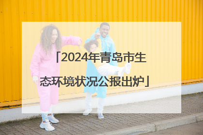 2024年青岛市生态环境状况公报出炉