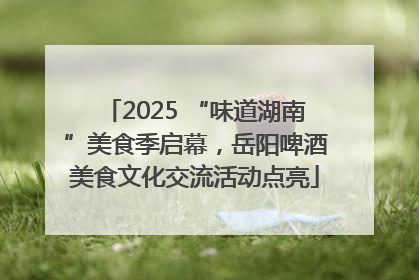 2025 “味道湖南”美食季启幕，岳阳啤酒美食文化交流活动点亮
