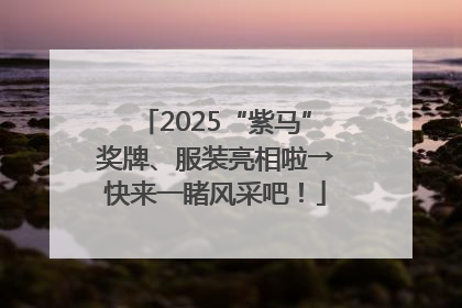 2025“紫马”奖牌、服装亮相啦→快来一睹风采吧！