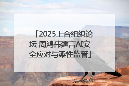 2025上合组织论坛 周鸿祎建言AI安全应对与柔性监管