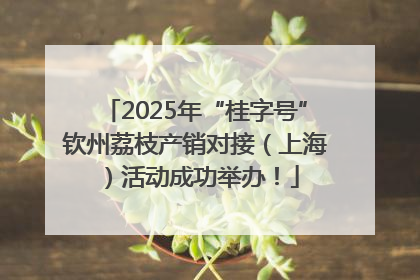 2025年“桂字号”钦州荔枝产销对接（上海）活动成功举办！