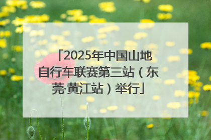 2025年中国山地自行车联赛第三站（东莞·黄江站）举行