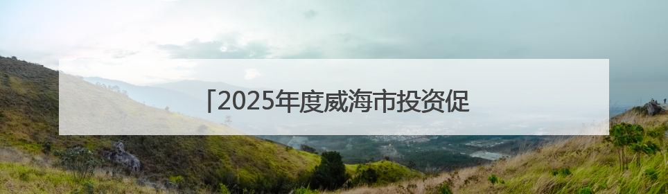 2025年度威海市投资促进中心招聘优秀人才公告