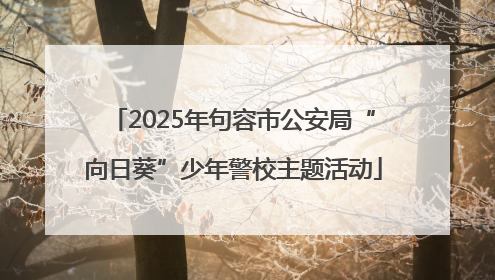 2025年句容市公安局“向日葵”少年警校主题活动