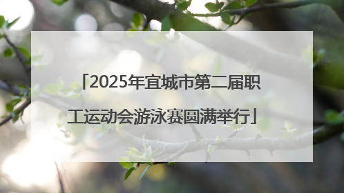 2025年宜城市第二届职工运动会游泳赛圆满举行
