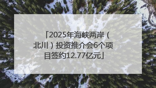 2025年海峡两岸（北川）投资推介会6个项目签约12.77亿元