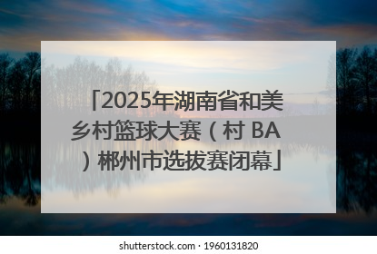 2025年湖南省和美乡村篮球大赛（村 BA）郴州市选拔赛闭幕