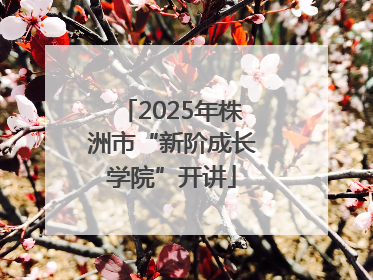 2025年株洲市“新阶成长学院”开讲