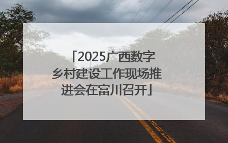 2025广西数字乡村建设工作现场推进会在富川召开