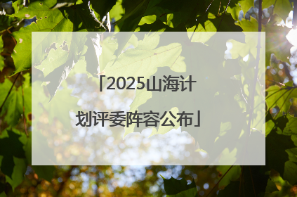2025山海计划评委阵容公布