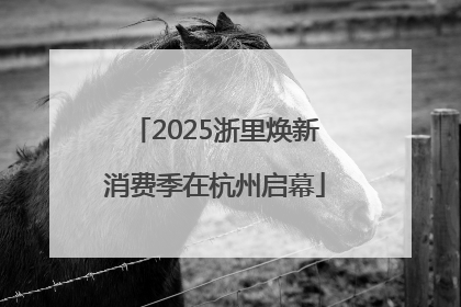 2025浙里焕新消费季在杭州启幕