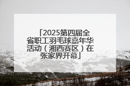 2025第四届全省职工羽毛球嘉年华活动（湘西赛区）在张家界开幕