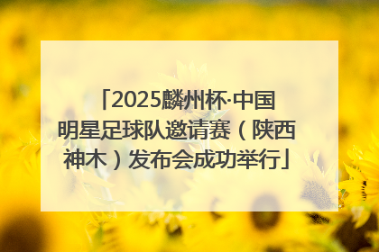2025麟州杯·中国明星足球队邀请赛（陕西神木）发布会成功举行