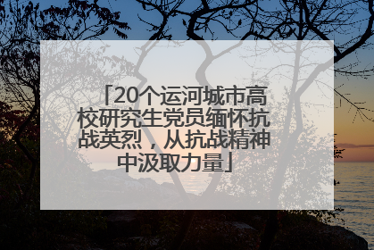 20个运河城市高校研究生党员缅怀抗战英烈，从抗战精神中汲取力量