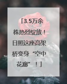 3.5万余株热烈绽放！日照这座高架桥变身“空中花廊”！