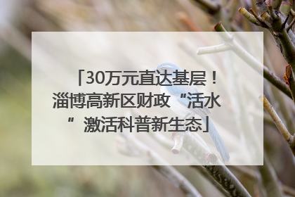 30万元直达基层！淄博高新区财政“活水”激活科普新生态