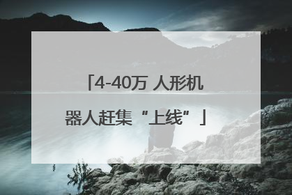 4-40万 人形机器人赶集“上线”