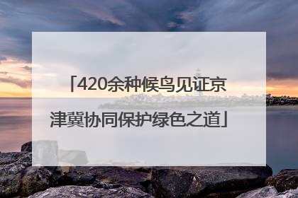 420余种候鸟见证京津冀协同保护绿色之道