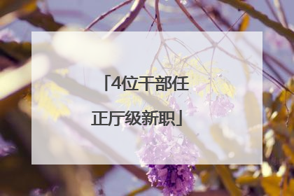 4位干部任正厅级新职
