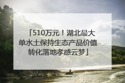 510万元！湖北最大单水土保持生态产品价值转化落地孝感云梦