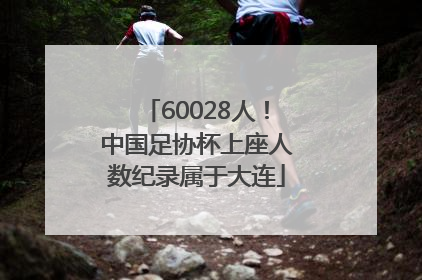 60028人！中国足协杯上座人数纪录属于大连