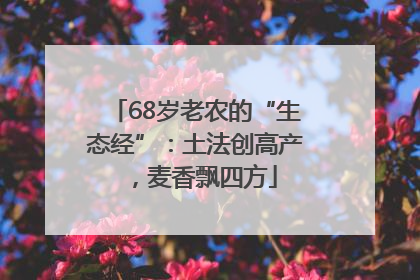 68岁老农的“生态经”：土法创高产，麦香飘四方