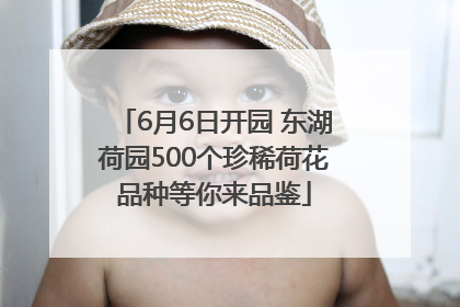 6月6日开园 东湖荷园500个珍稀荷花品种等你来品鉴