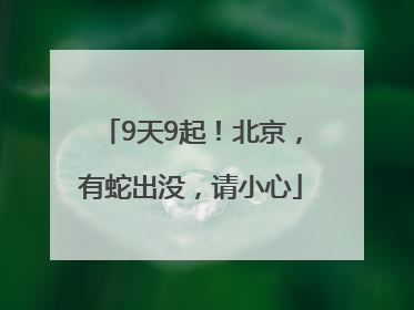 9天9起！北京，有蛇出没，请小心