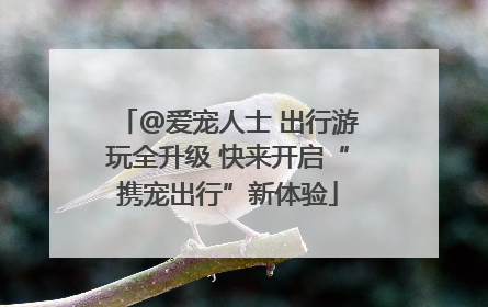 @爱宠人士 出行游玩全升级 快来开启“携宠出行”新体验